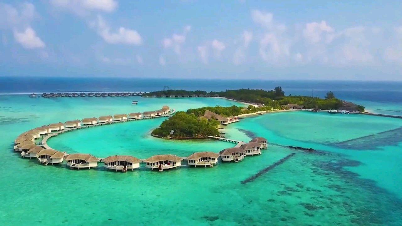 探索手机银行转账出去的钱怎么收回?,畅享红迪网的精彩内容